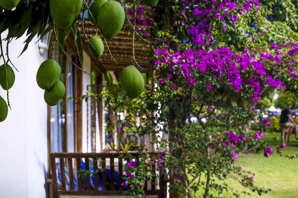 La Em Casa - Guest House Barra Grande  Luaran gambar